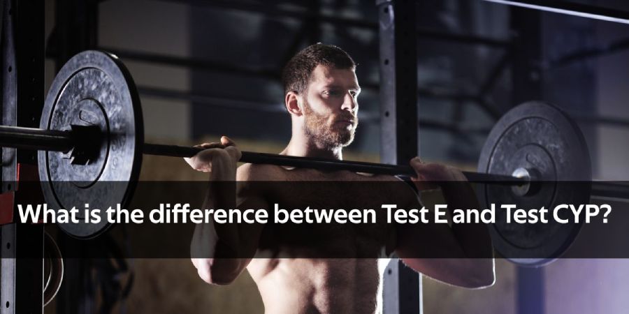 testosterone enanthate vs cypionate for bodybuilding